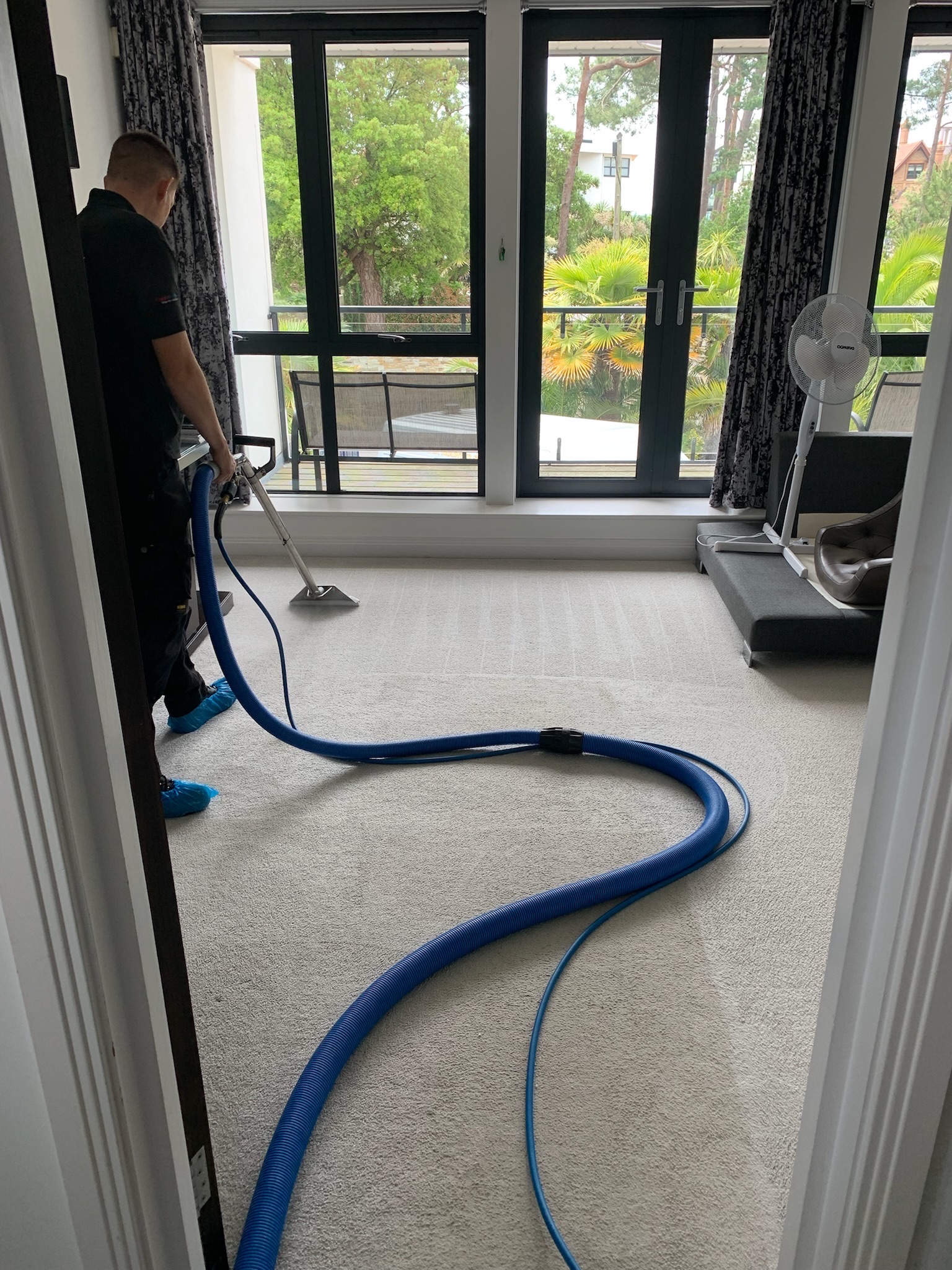 Experienced carpet cleaners in Ferndown carrying out deep cleaning